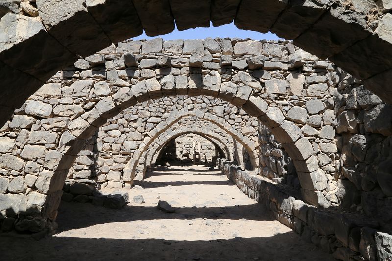 Castelli del deserto orientale: cosa vedere e fare